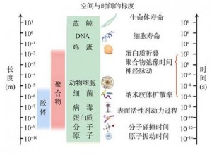 圖7 軟物質(zhì)的時(shí)間與空間尺度